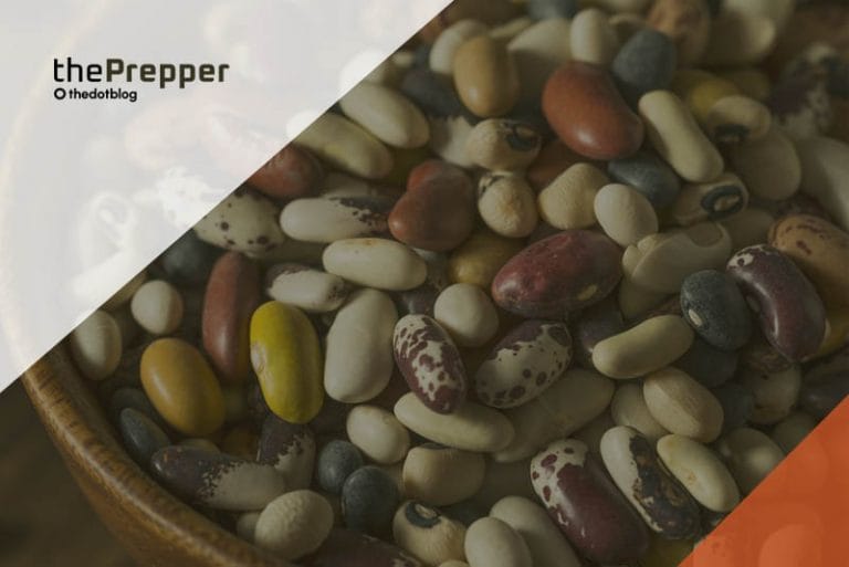 dried beans for preppers