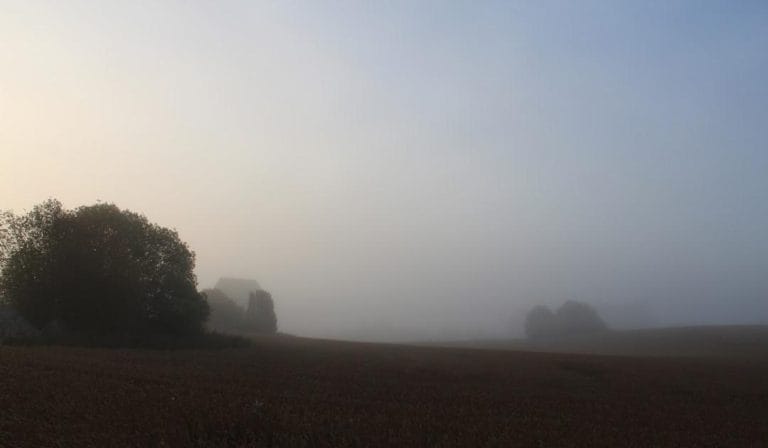 How to Extract Pure Water from Fog